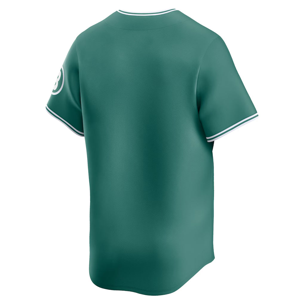Pkot B.Red Sox ## Red Sox Blank Player Green City Connect Limited Home Game Stitched Jerseys