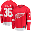 Yuxns DR.Wings #36 John Gibson Red Home Breakaway Jerseys