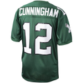 Yuxns P.Eagles 1992 #12 Randall Cunningham Mitchell & Ness Green Authentic Throwback Retired Player Puhic Stitched Jerseys